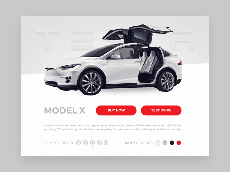 tesla ecommerce